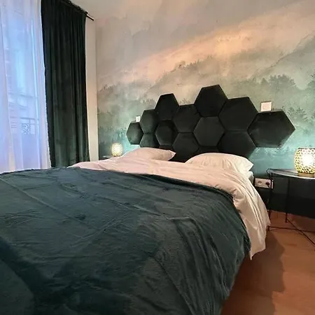 Esprit Alsace: 70M2 De Charme Apartment Mulhouse Exterior photo