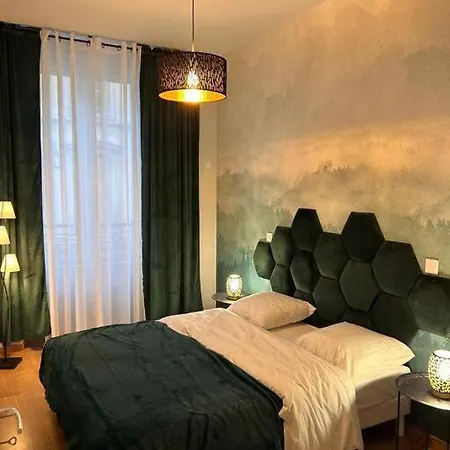 Esprit Alsace: 70M2 De Charme Apartment Mulhouse Exterior photo