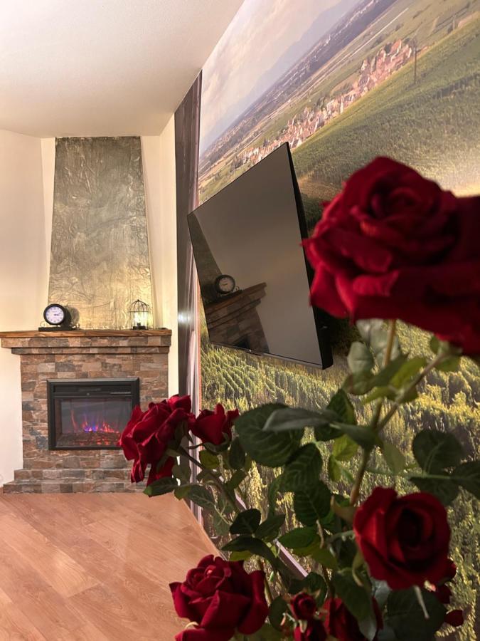 Esprit Alsace: 70m2 De Charme *